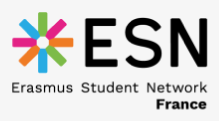Logo ESN France